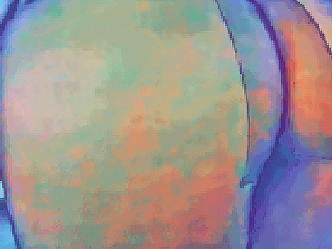 Uncertainly Erotic