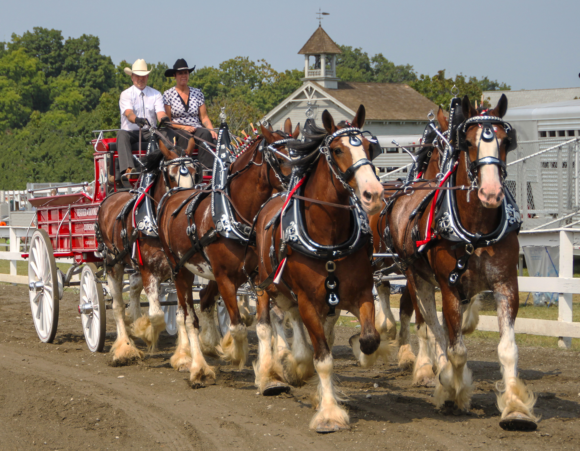 Clydesdale 6-Horse Hitch, Dutchess Fair, Rhinebeck, New York