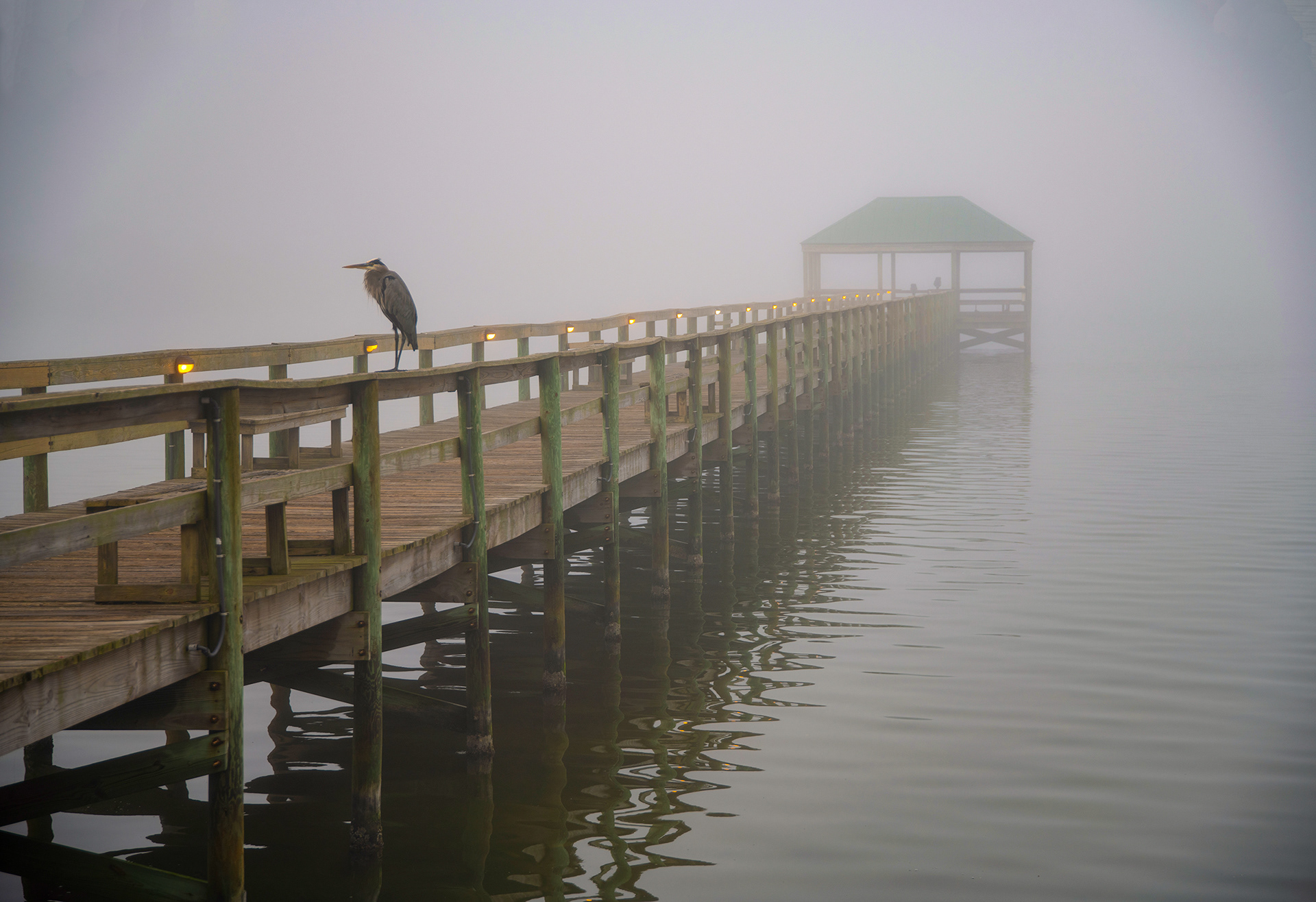 Fog on the Indian River, Indialantic, Florida