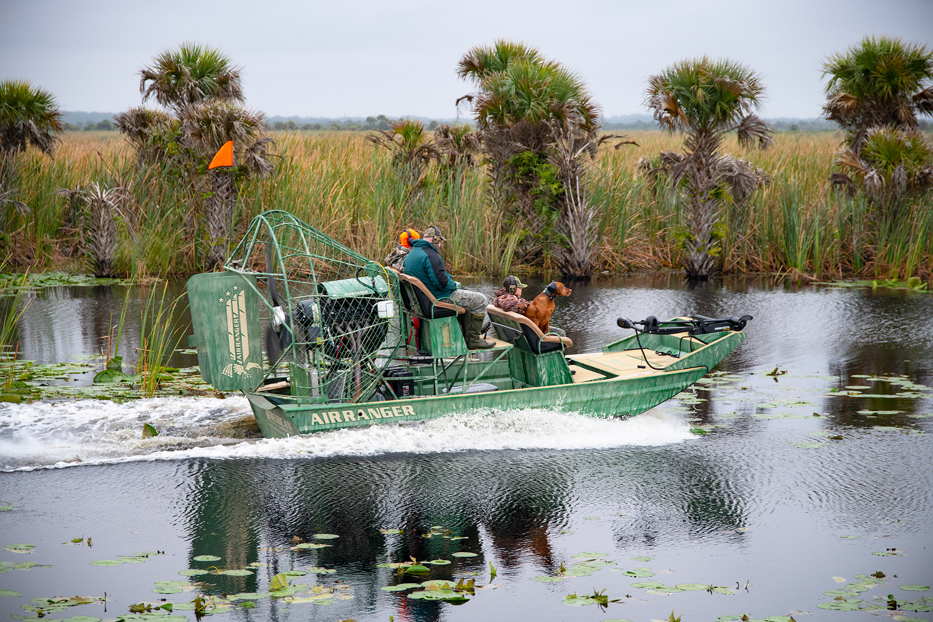 Ear Protection For All, Palm Bay, Florida