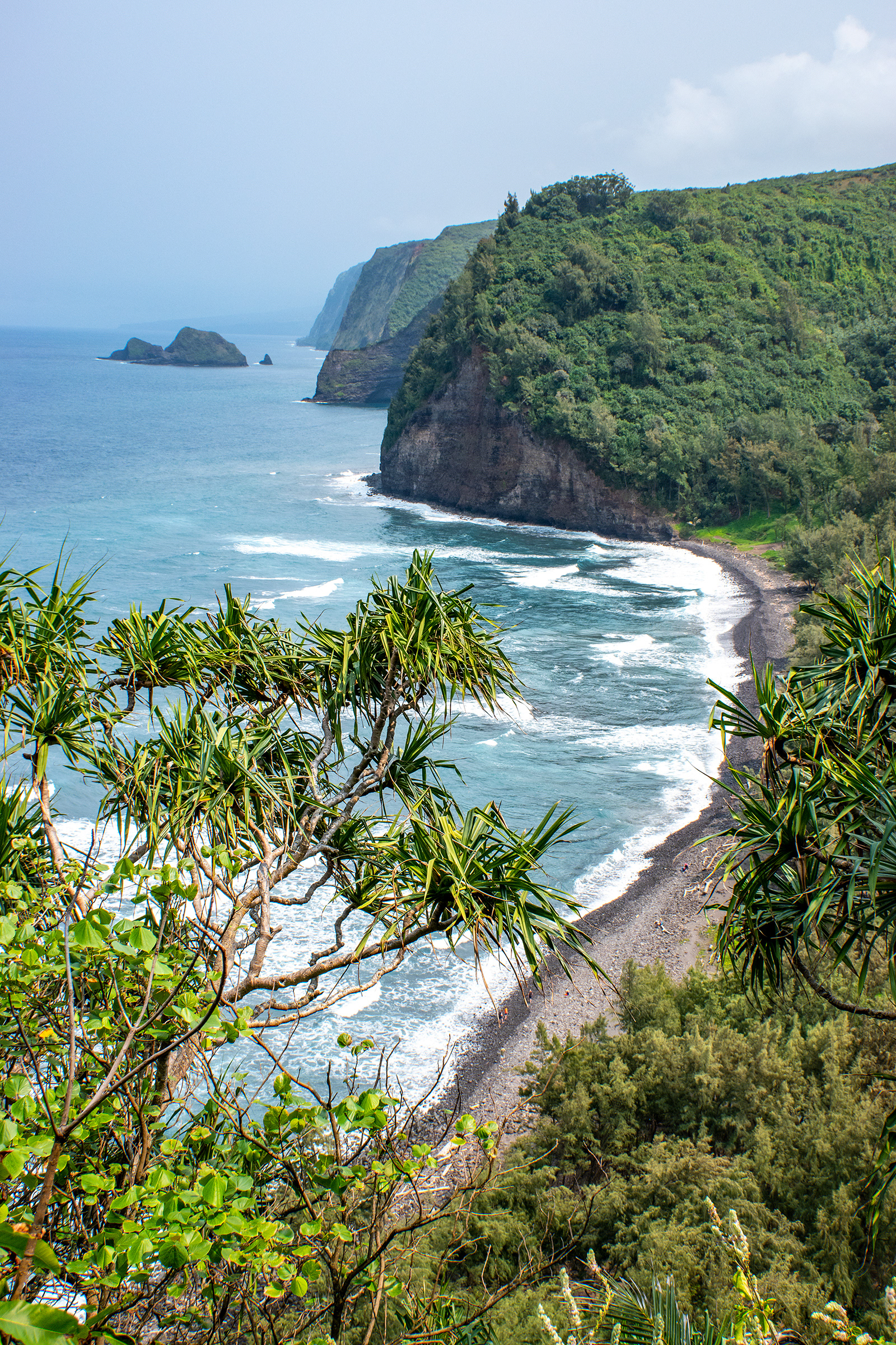 Pololu Valley Coast, Hawaii