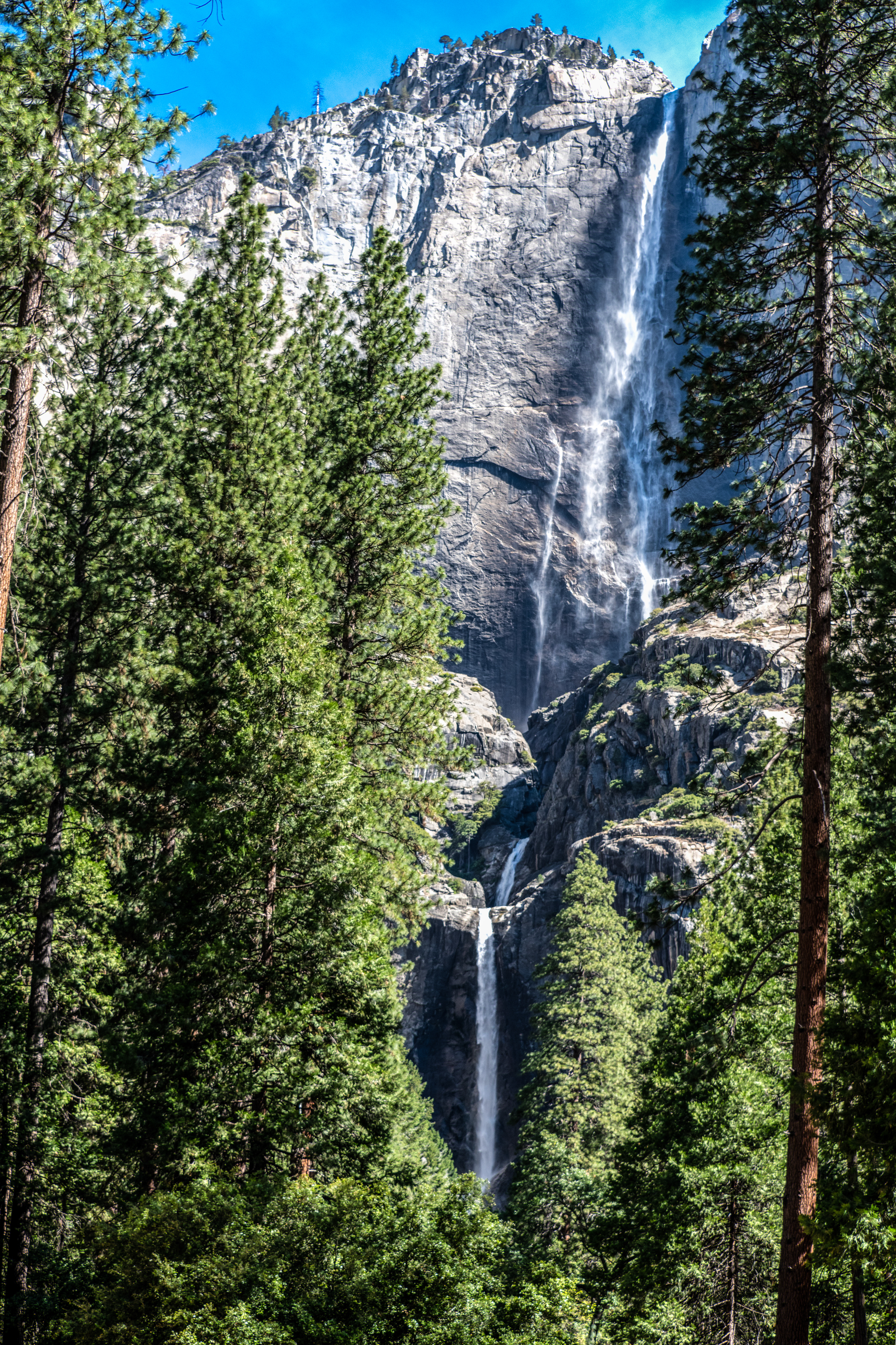 Yosemite Falls from the Valley Floor, Yosemite National Park