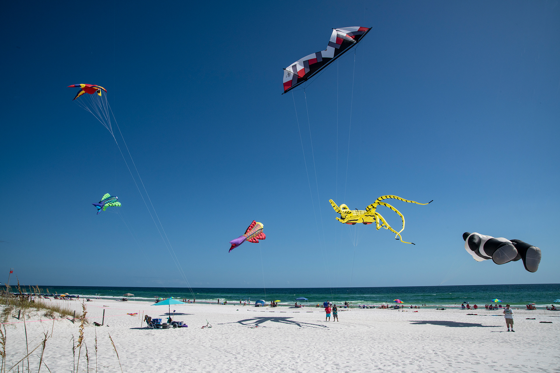 Kite Festival, Okaloosa Beach, Florida