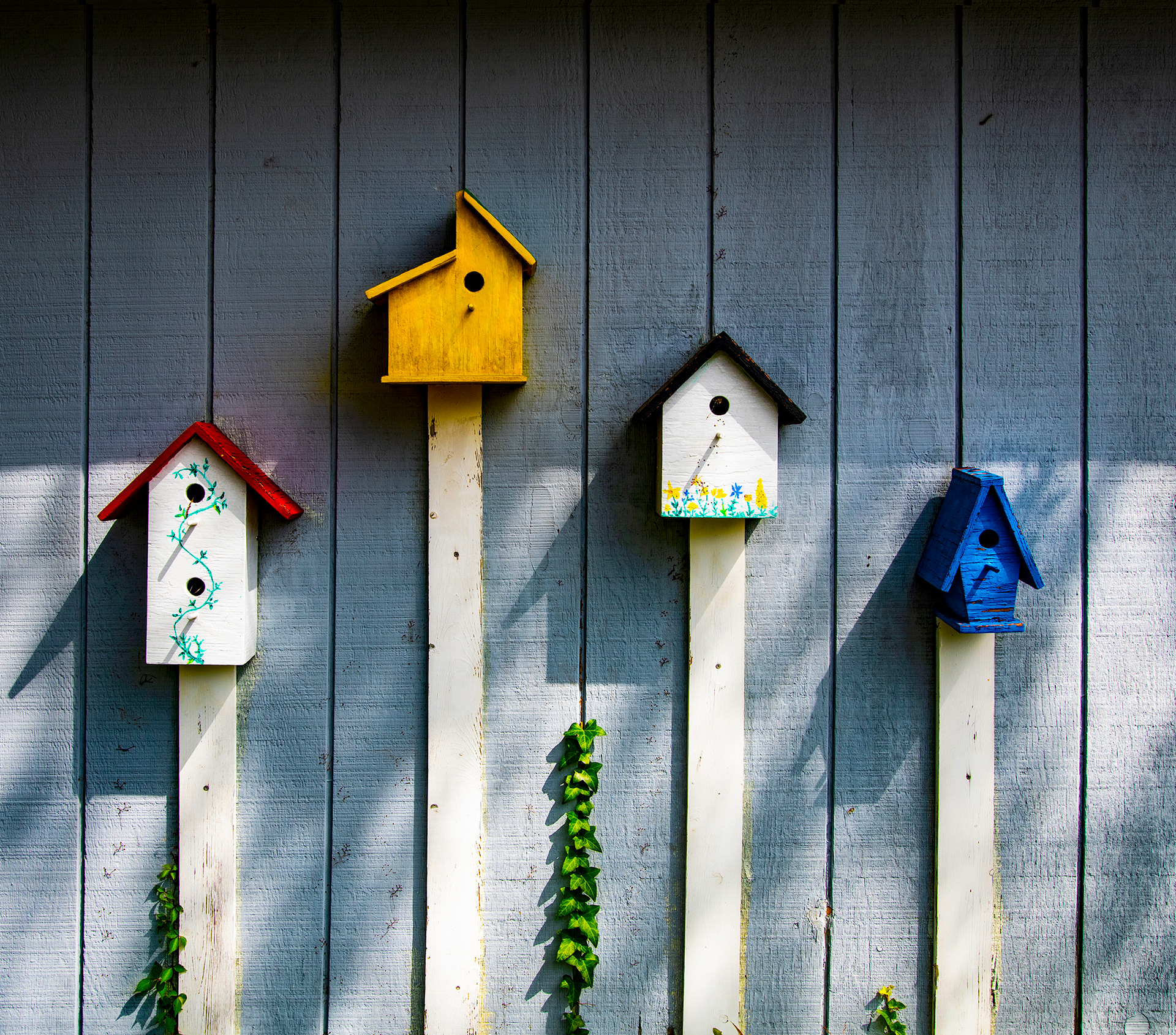 Bird Houses, Okrakoke, North Carolina