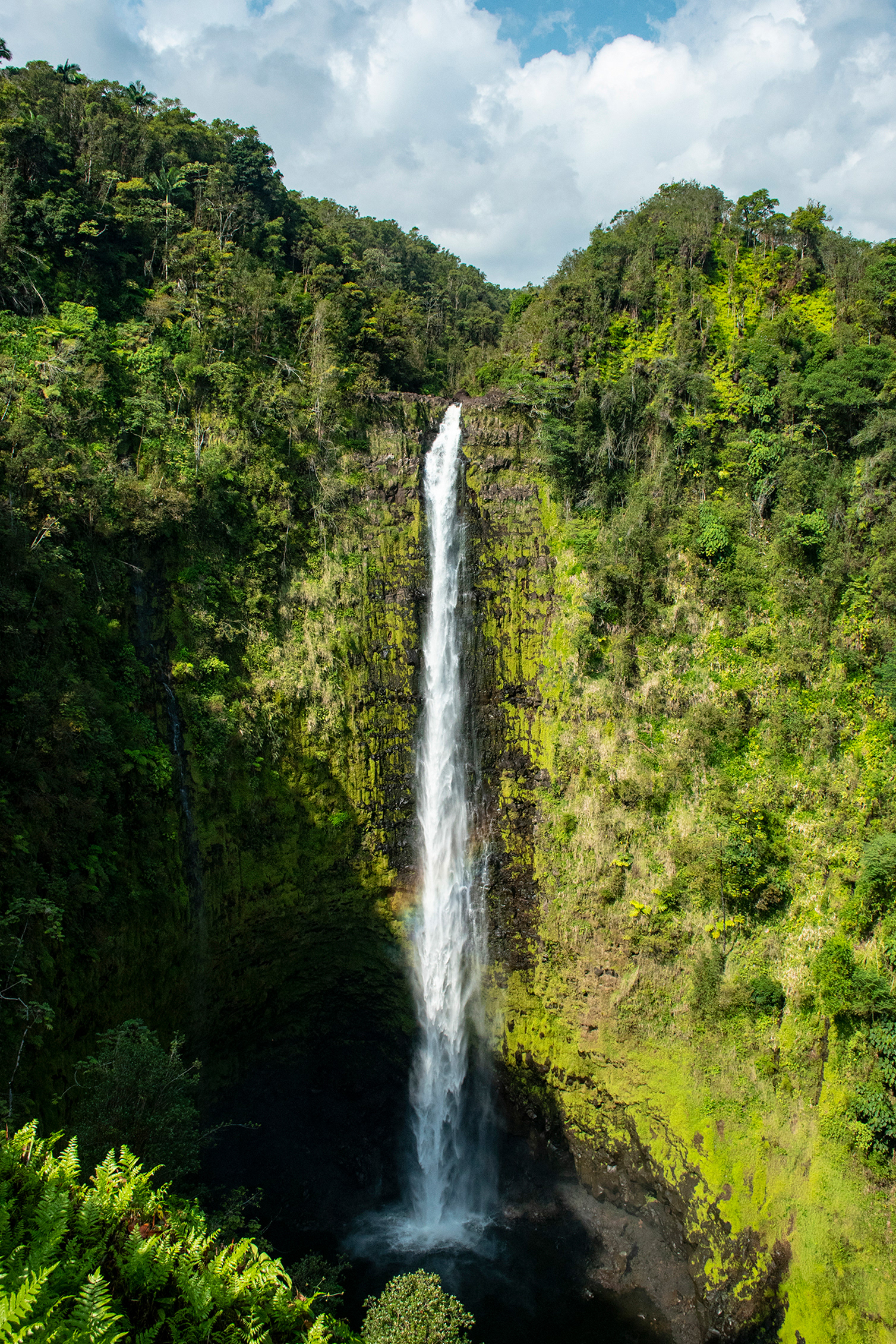 Akaka Falls, Hawaii