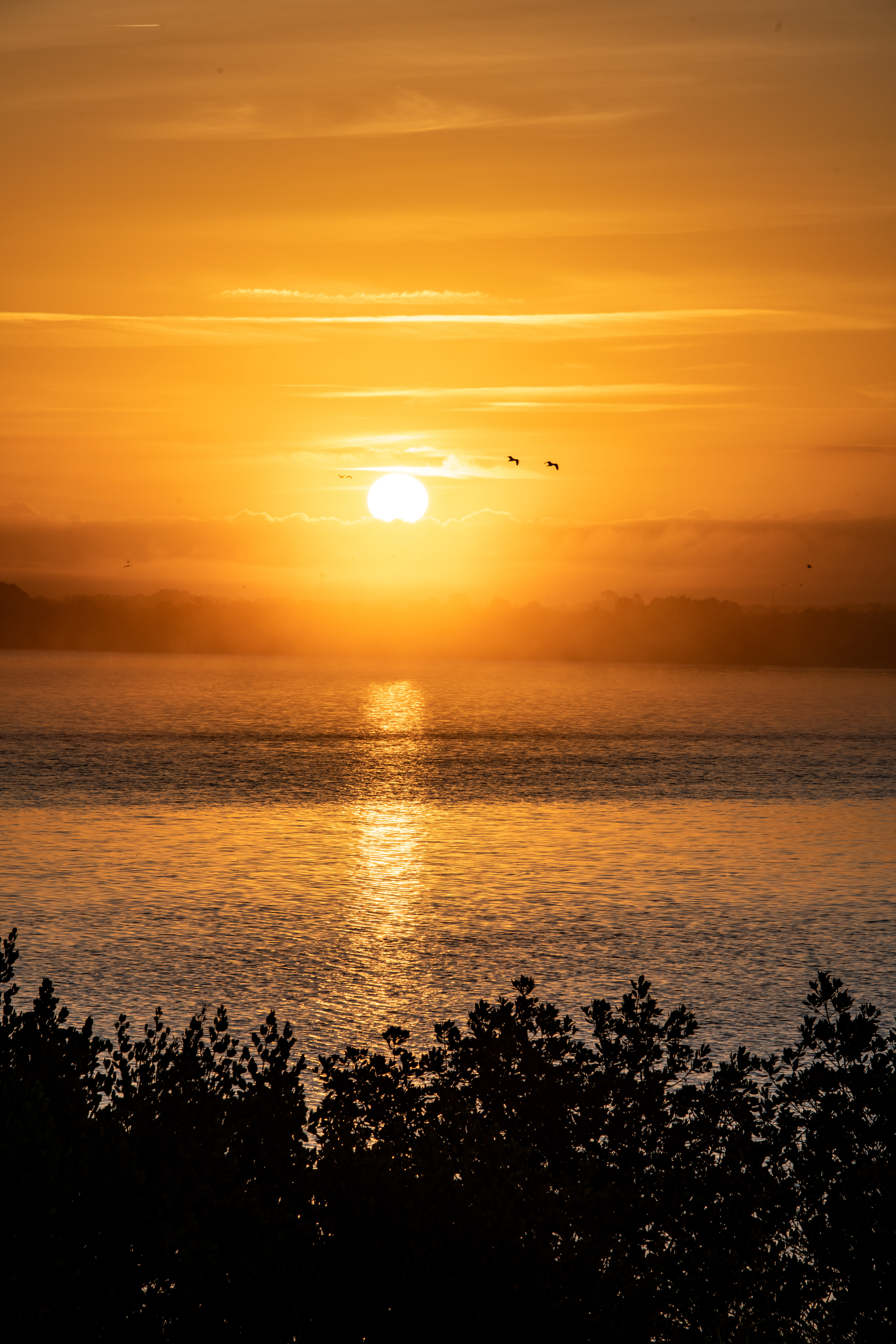 Sunrise over the Banana River, Kennedy Space Center, Florida