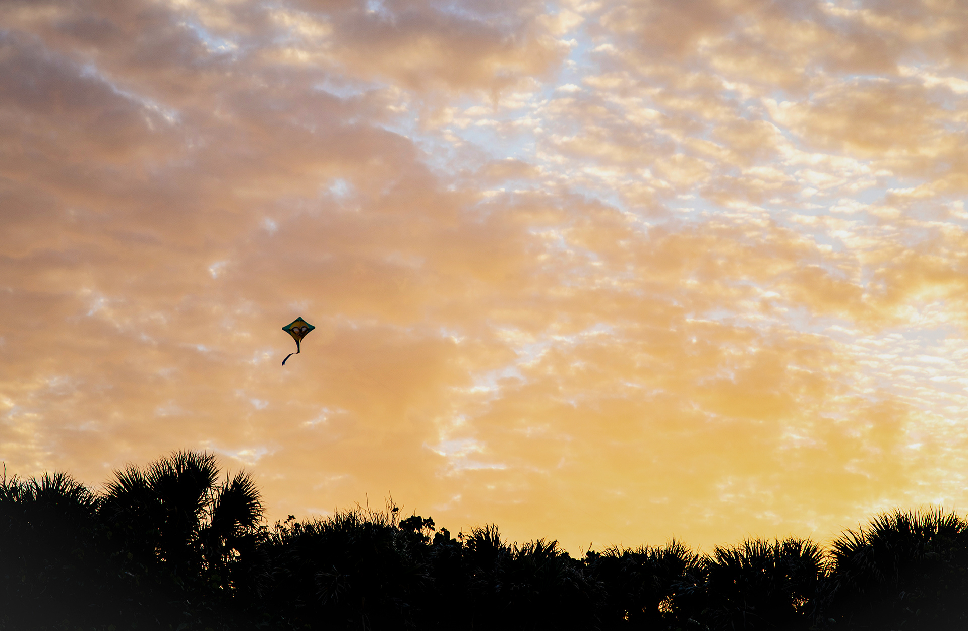 Lonesome Kite, Canova Beach, Florida