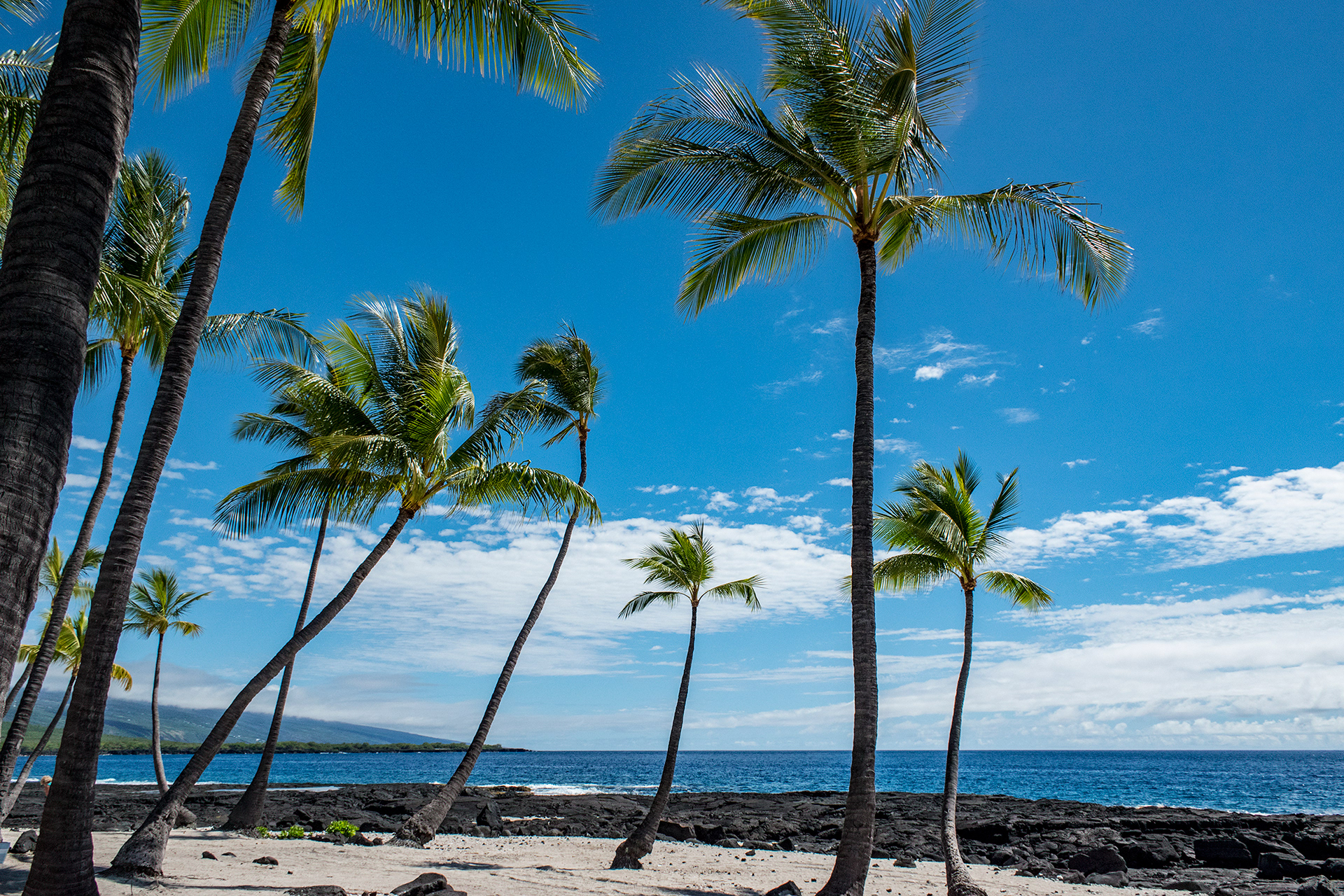 Tropical Beach, Hawaii