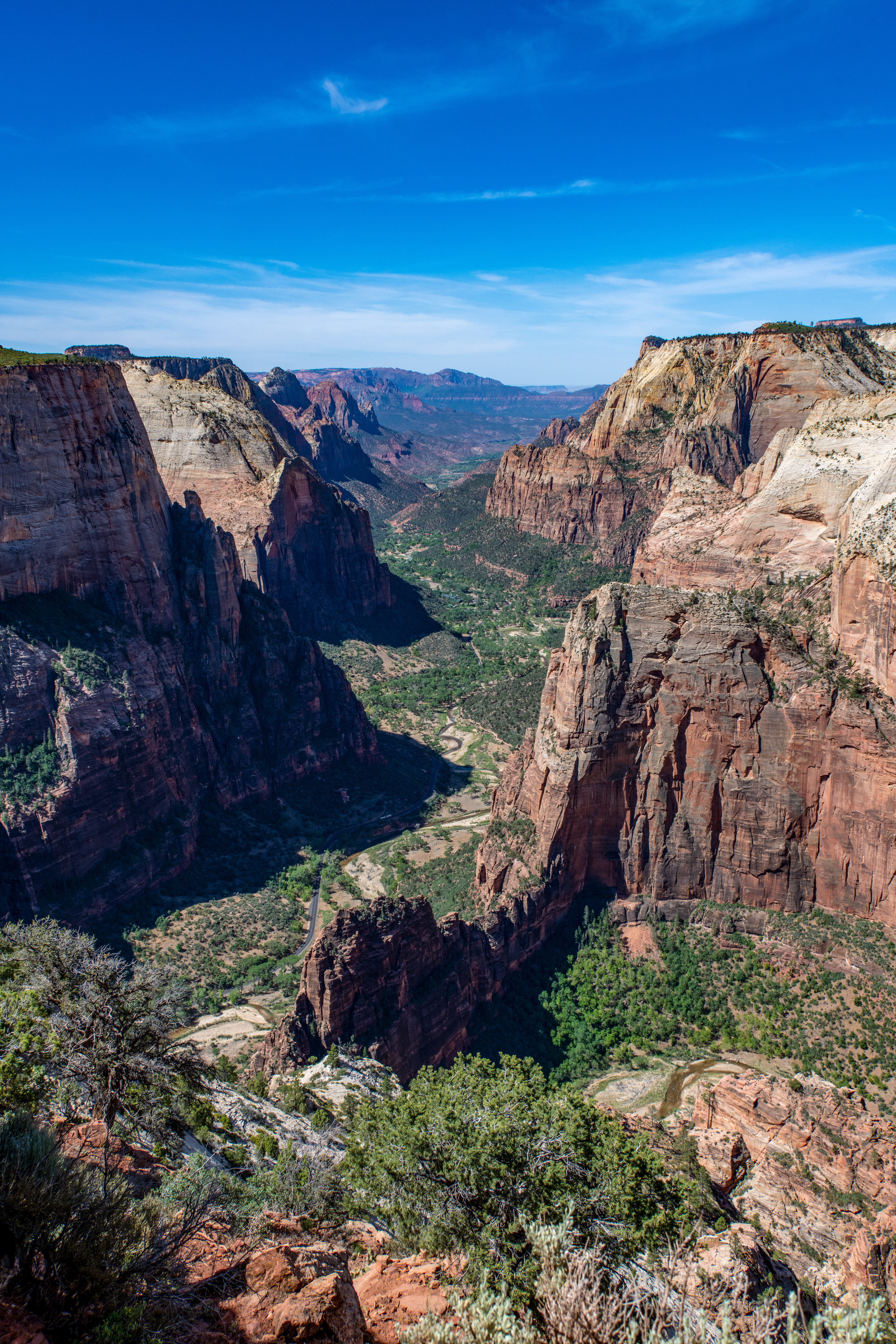 Zion Canyon and Angel's Landing from Observation Point, Zion National Park