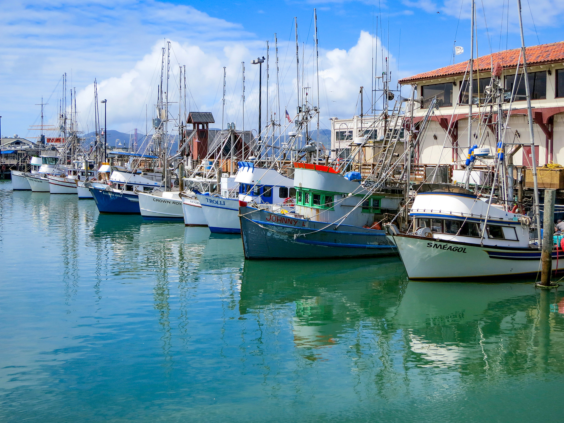 Fishing Fleet, Fisherman's Wharf, San Francisco, California