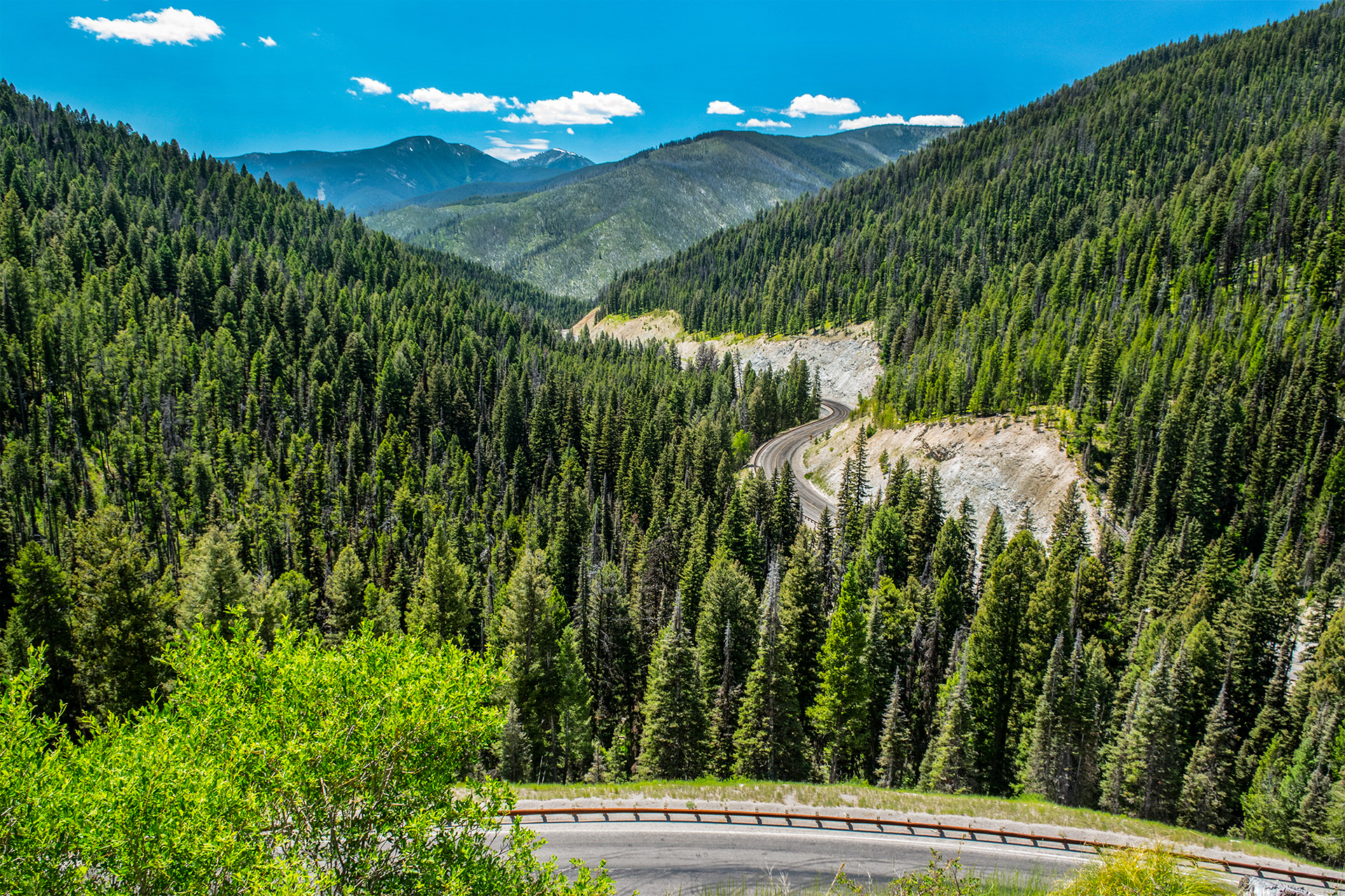 Lost Trail Pass, Bitterroot Mountains, Montana