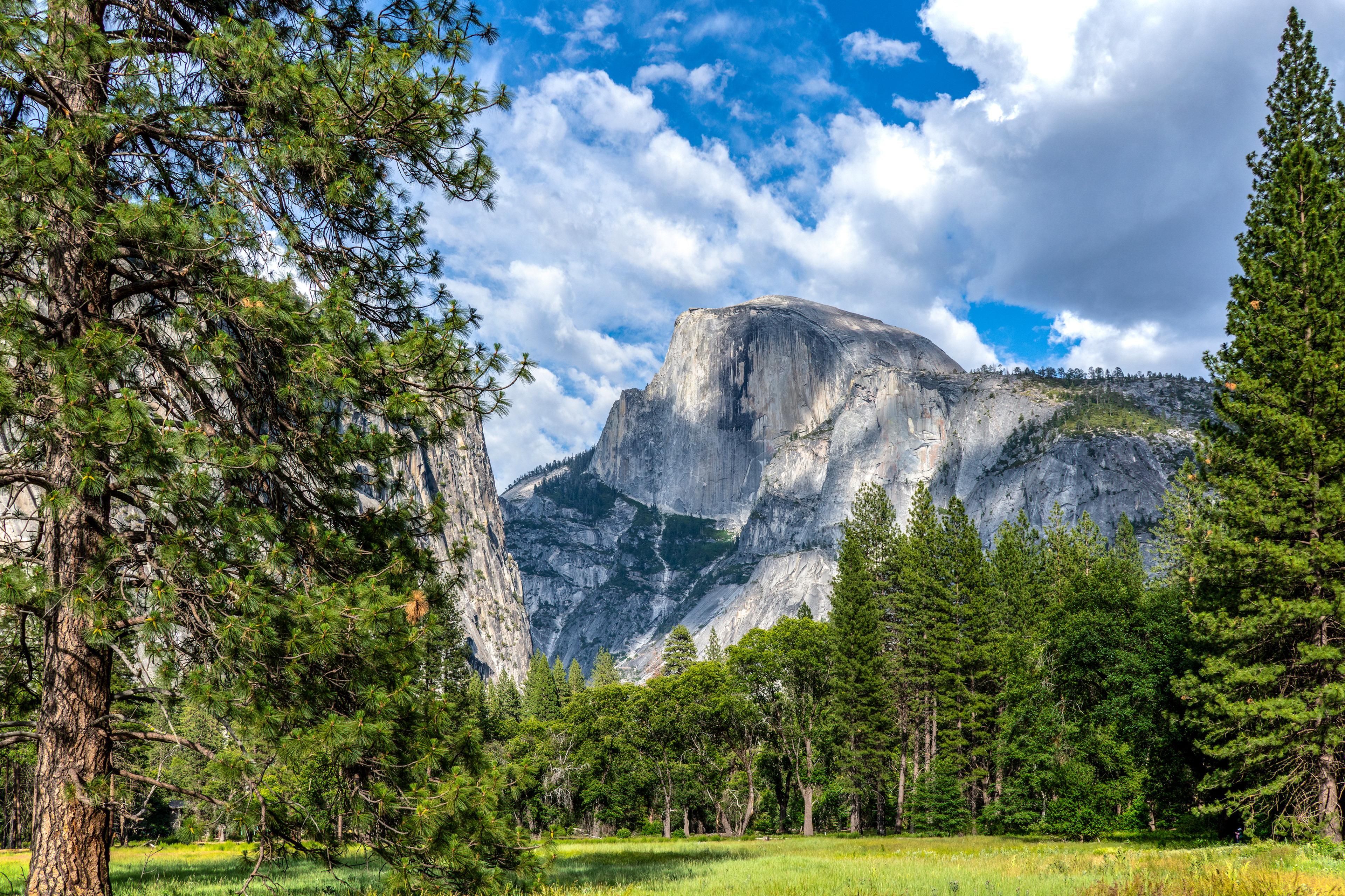 Half Dome from the Valley Floor, Yosemite National Park