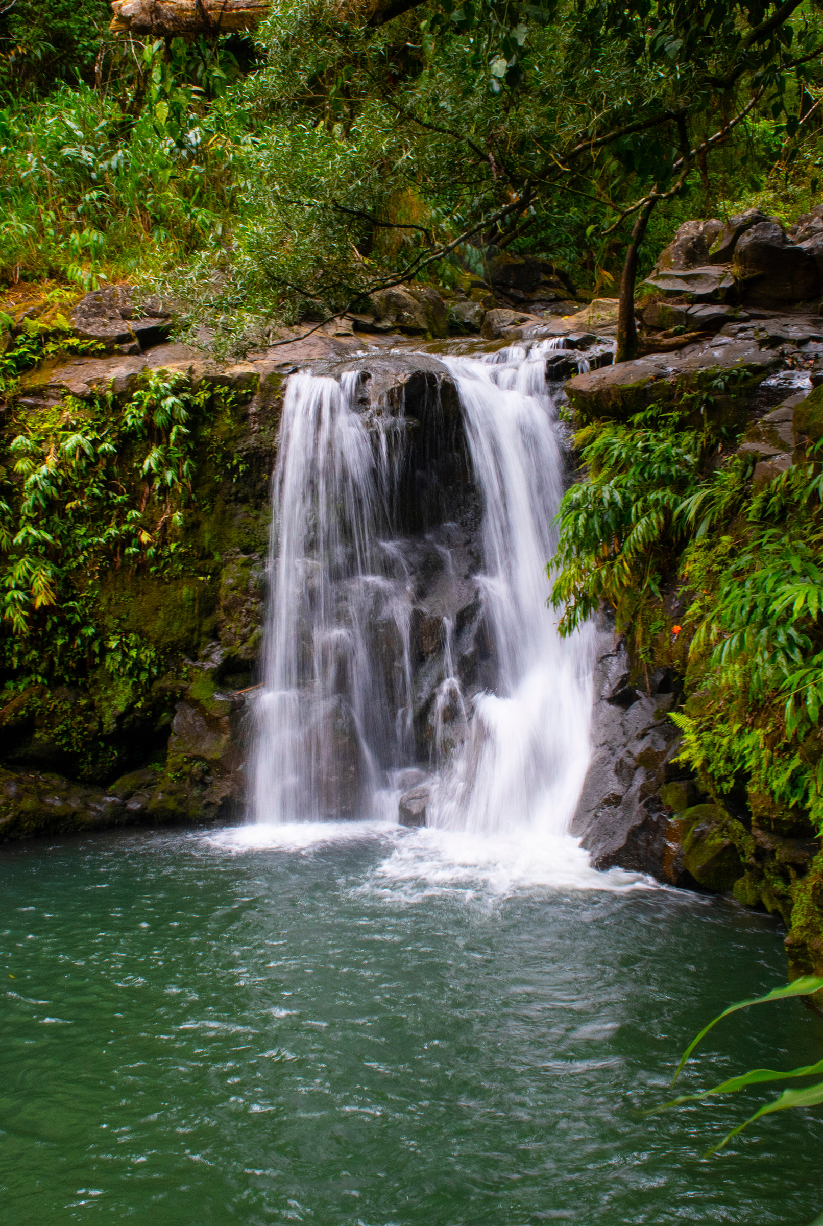 Waterfall on the Road to Hana, Maui