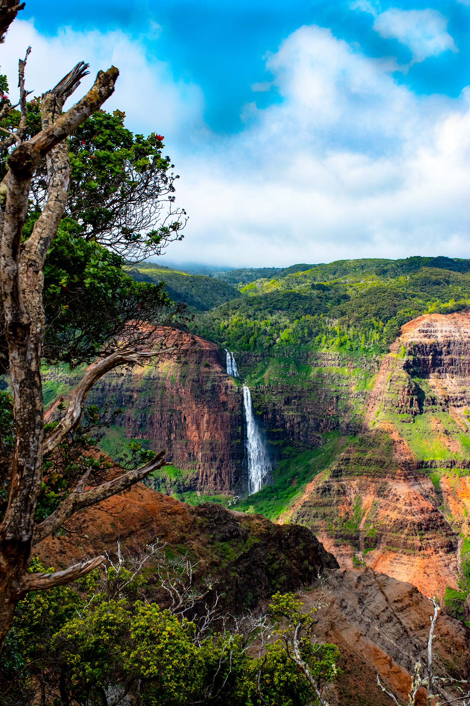 Waipo'o Falls, Waimea Canyon, Kauai