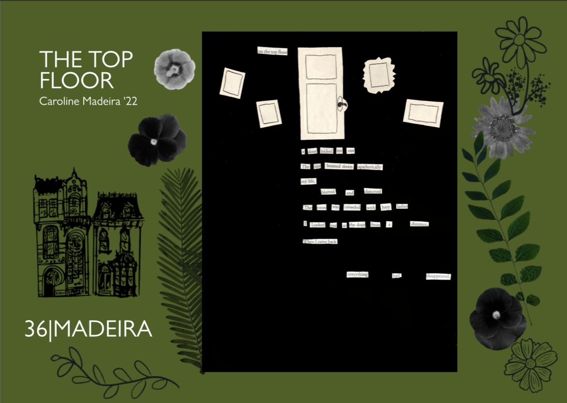 Page Layout