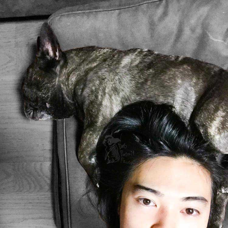 こんにちは、キノシタです。