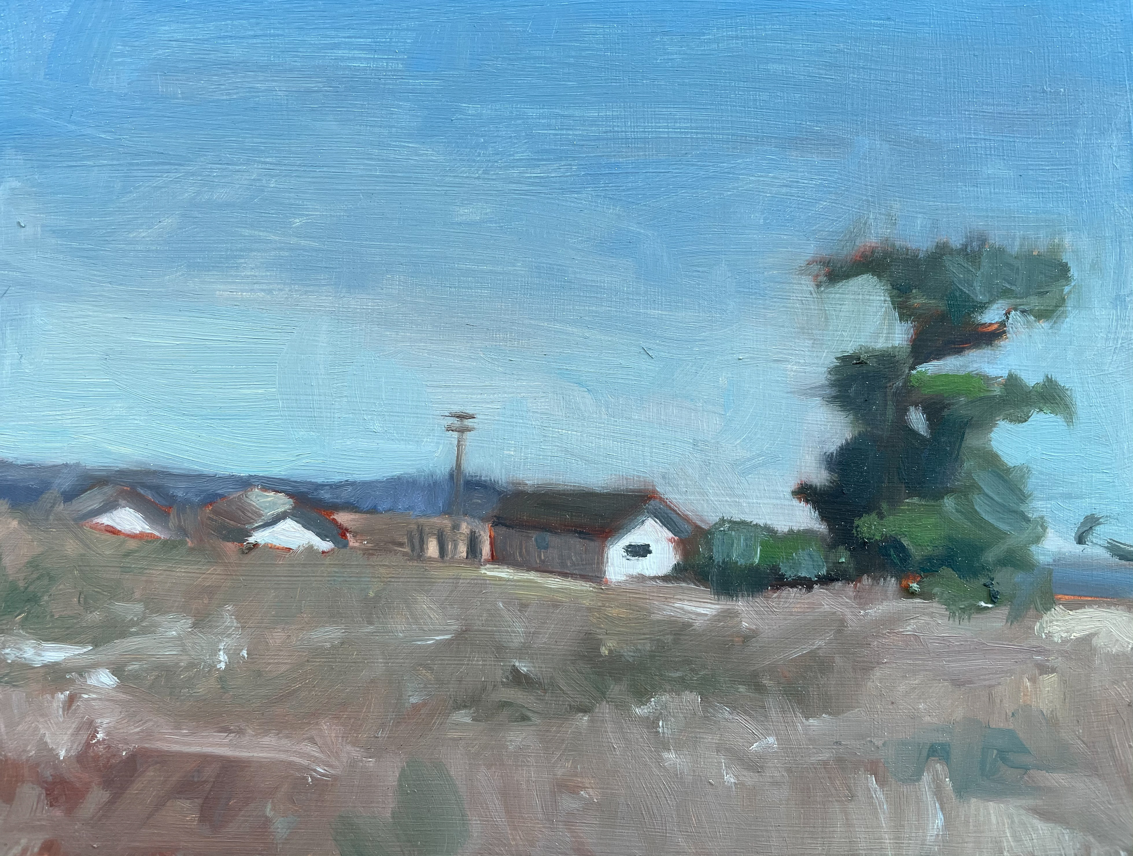 "Point Reyes"