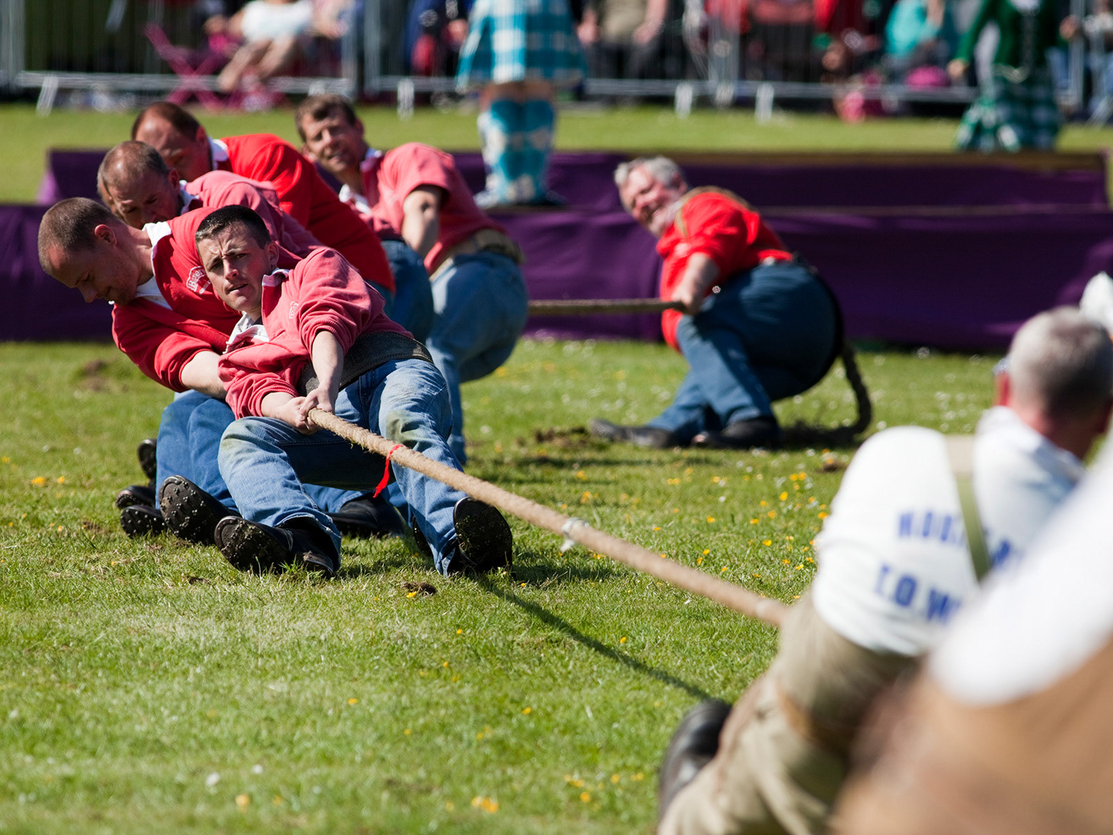 Tug of war at Aberdeen Highland Games
