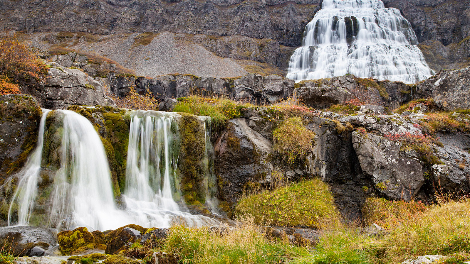 Autumnal colours at the Dynjandi waterfall (Fjallfoss), in the Westfjords region