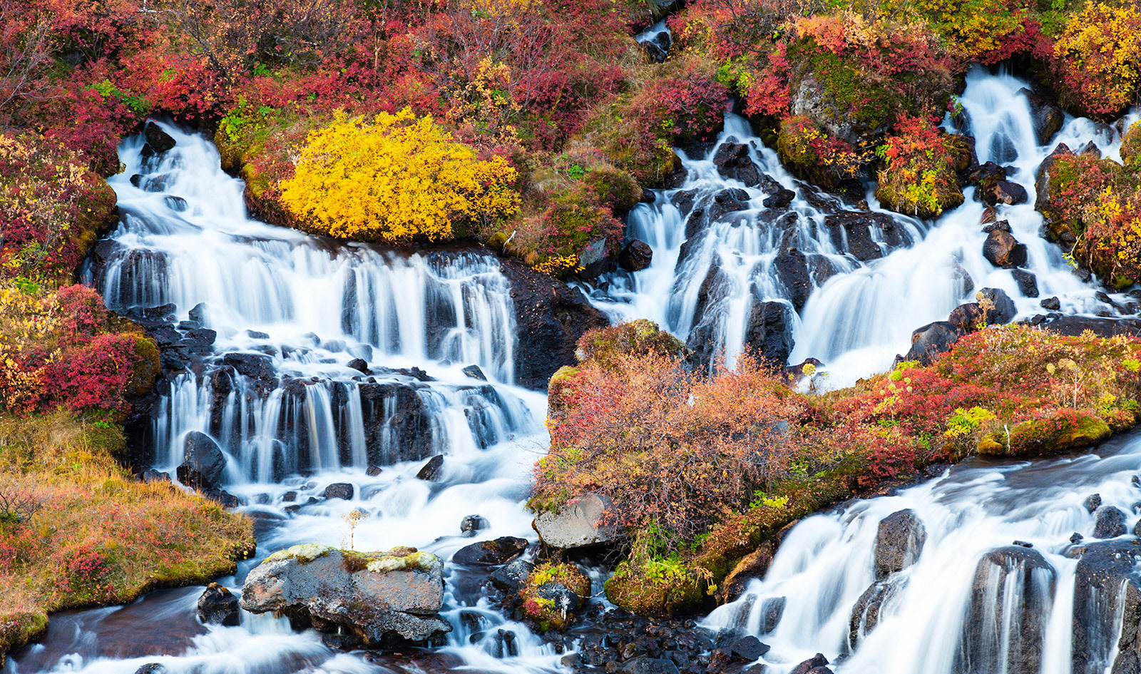 Hraunfossar (Borgarfjörður, western Iceland) 