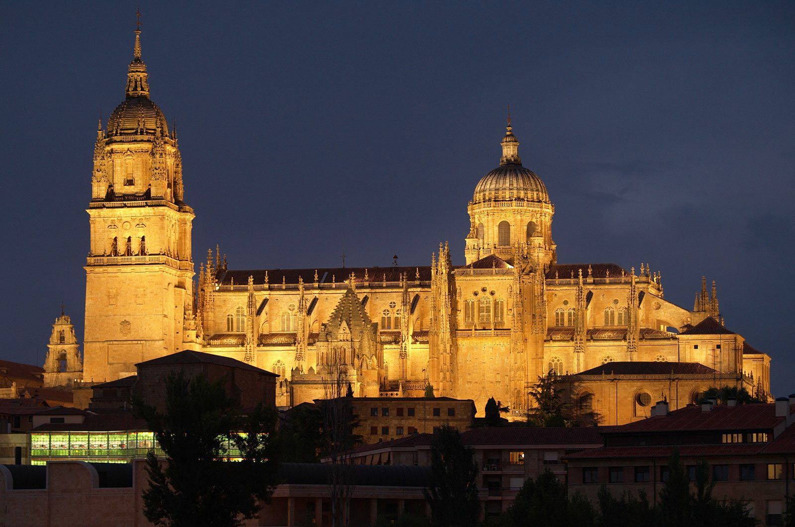 Salamanca Cathedral at night