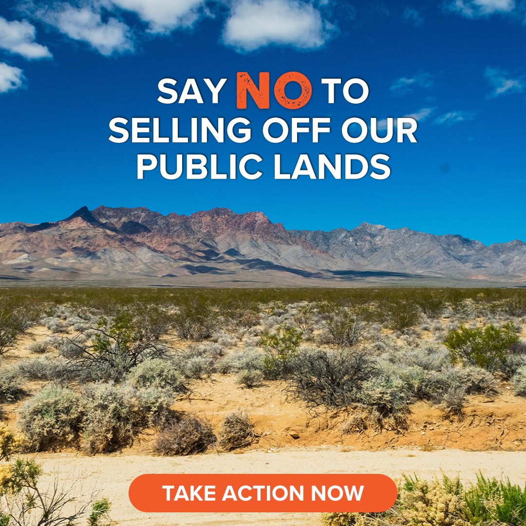 For Mojave Desert Land Trust