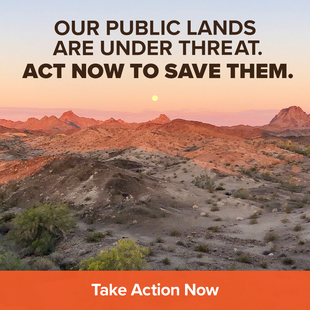 For Mojave Desert Land Trust