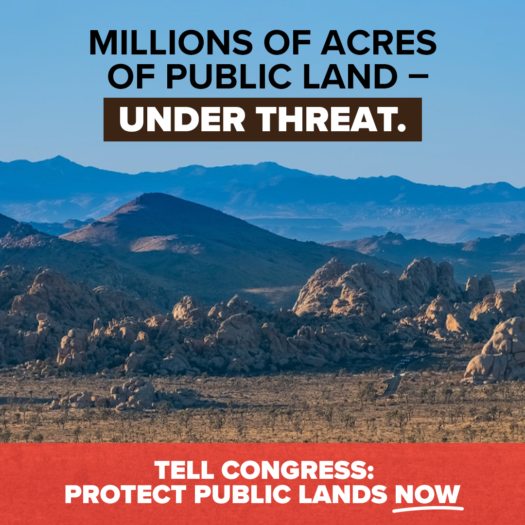 For Mojave Desert Land Trust