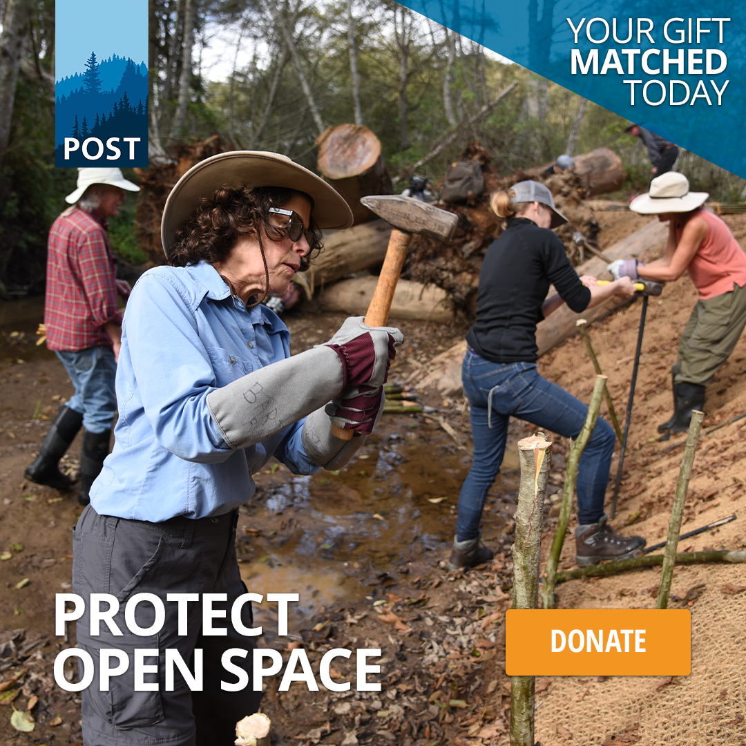 For Peninsula Open Space Trust