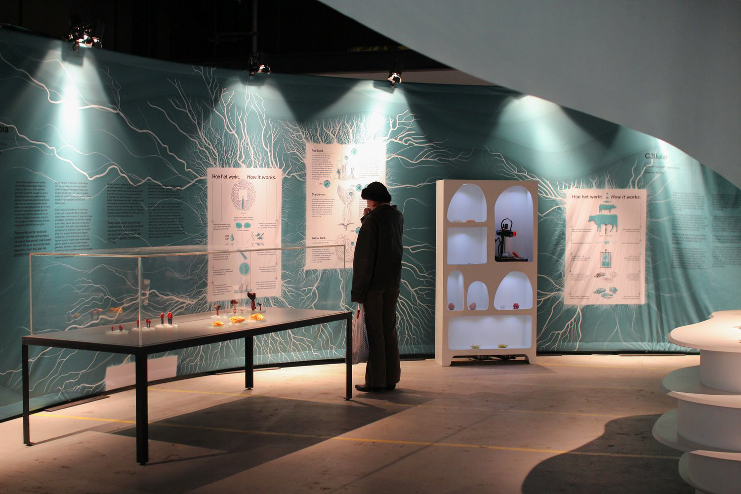 My project Syntopia at displayed at Dutch Design Week in Collaboration with Embassy of Food