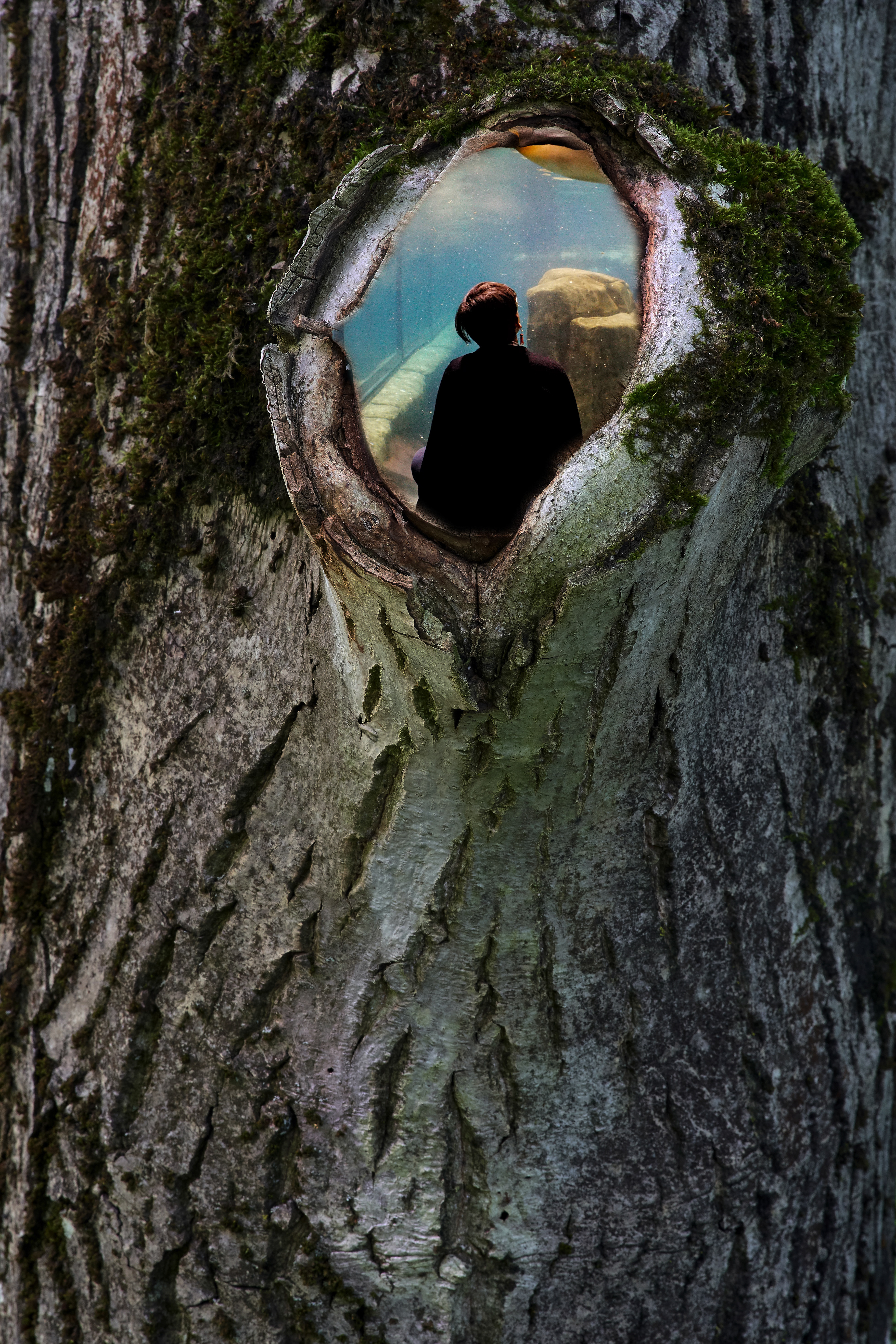 Surrealisme Opdracht. Gemaakt juni 2022 in Adobe Photoshop.