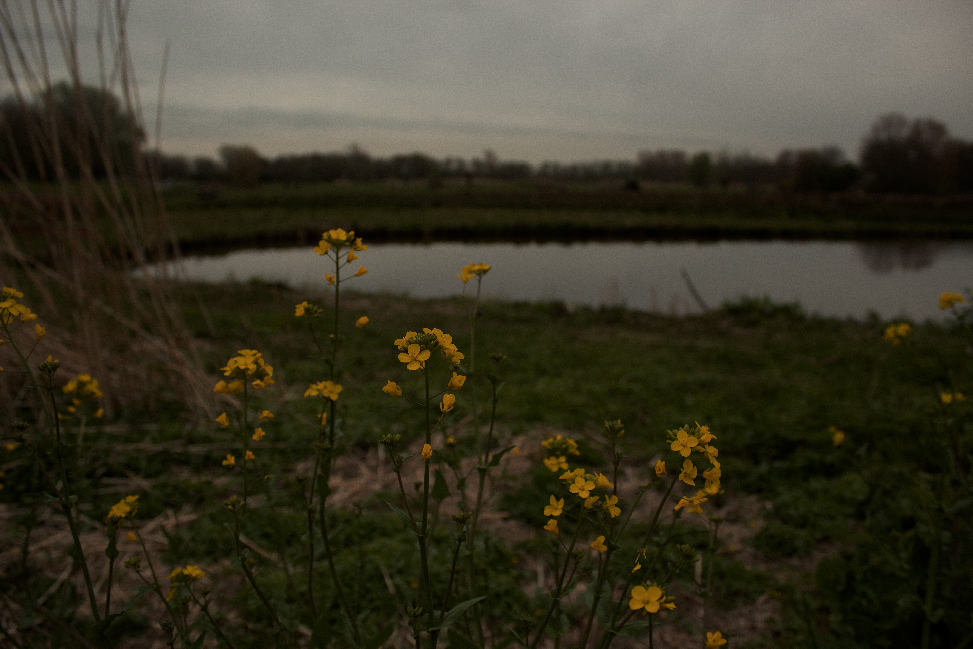 Yellow, leerjaar 2.