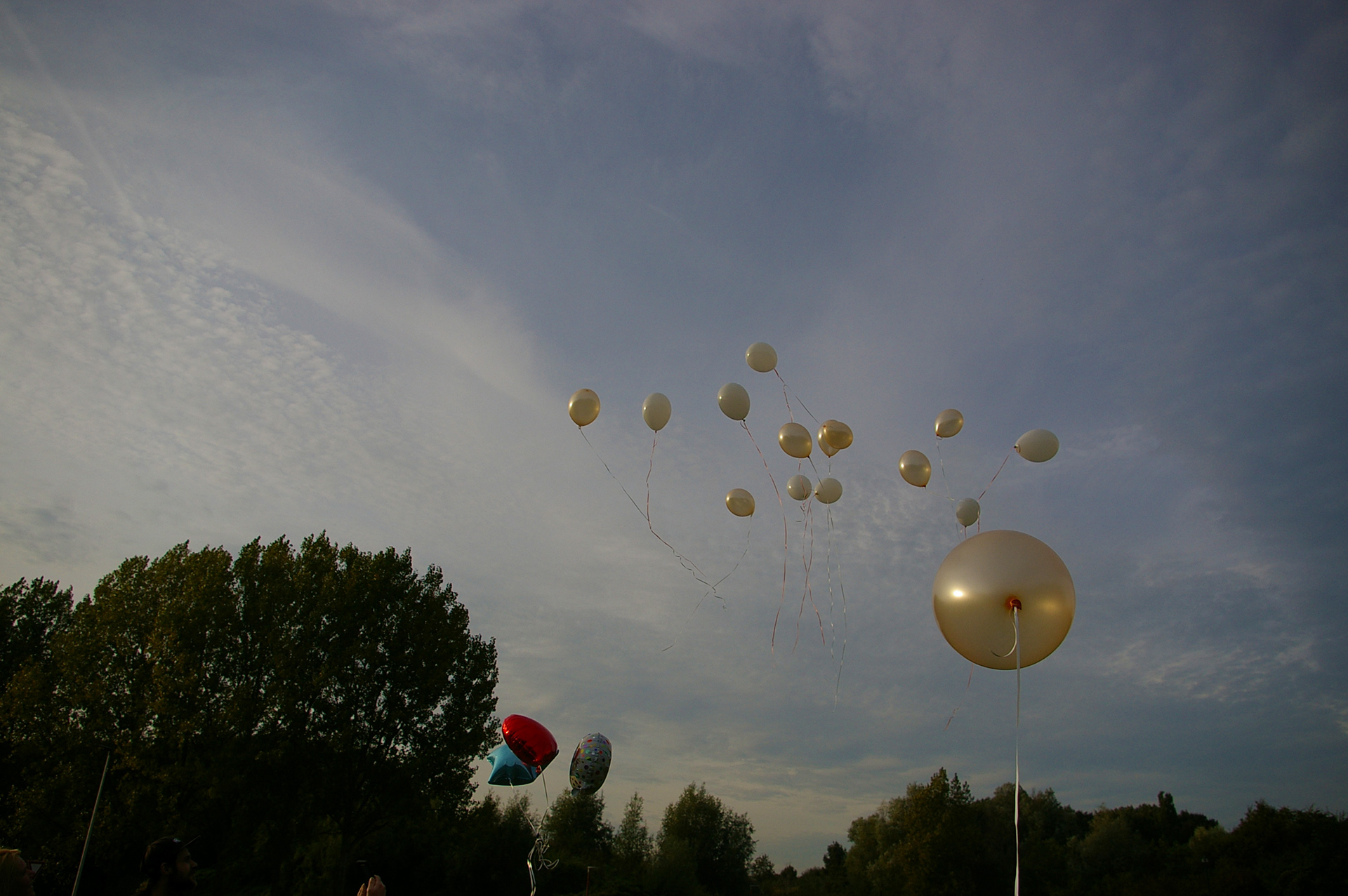 Losgelaten Ballonnen op de herdenking van Brun Alberts. Foto gemaakt in oktober 2021 daarna bewerkt in Adobe Lightroom Classic.