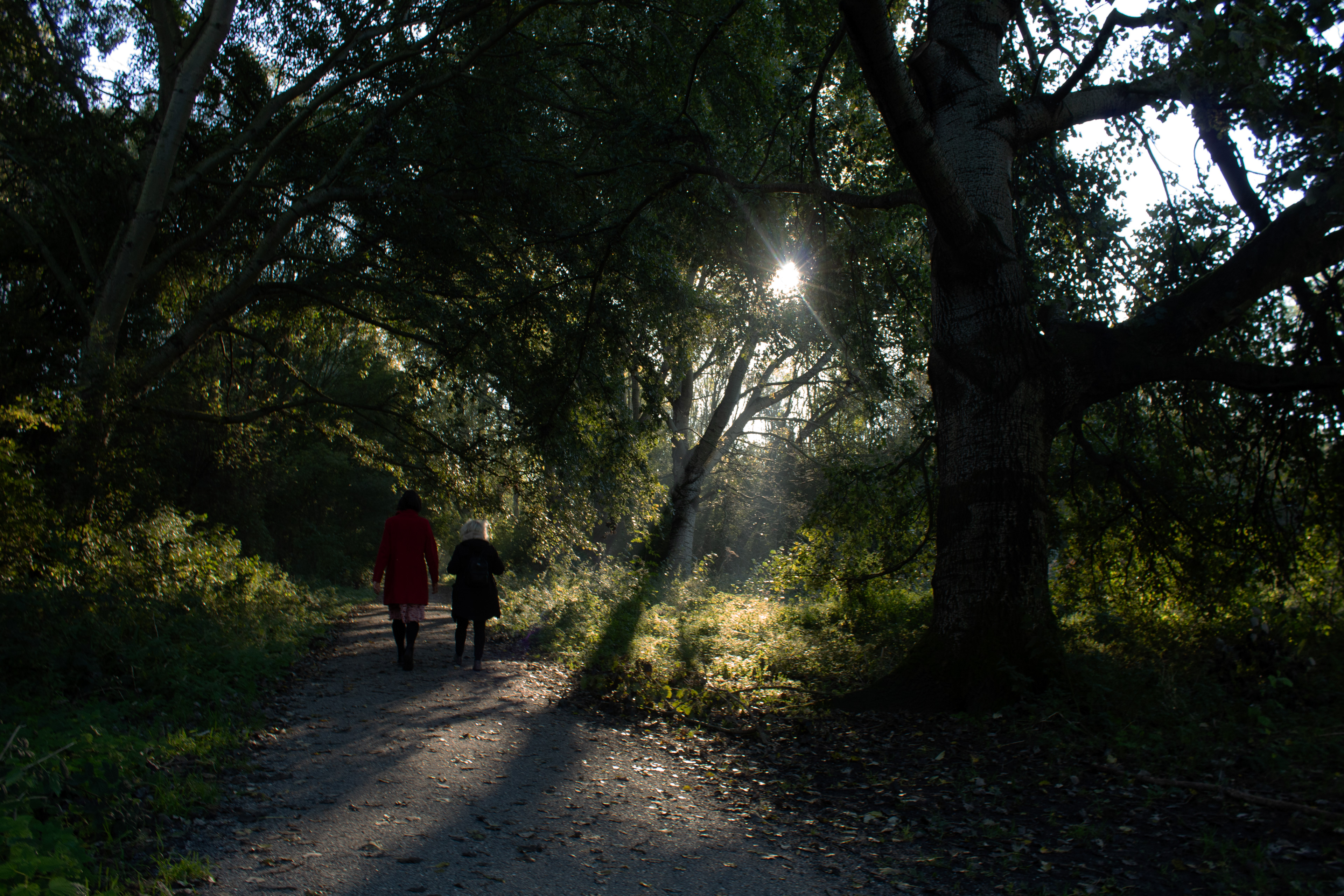 Walk in the forest, leerjaar 1. 2021