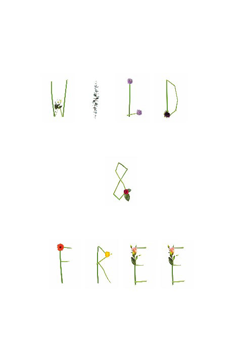 Wild & Free Anzichtkaart, leve de lente, Adobe Indesign, maart 2023.
