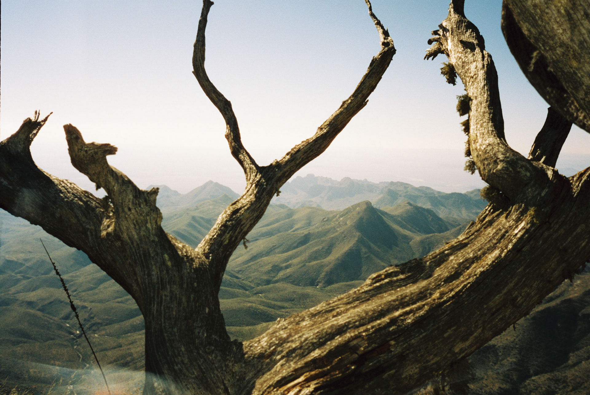 South Rim of the Chisos mountains
