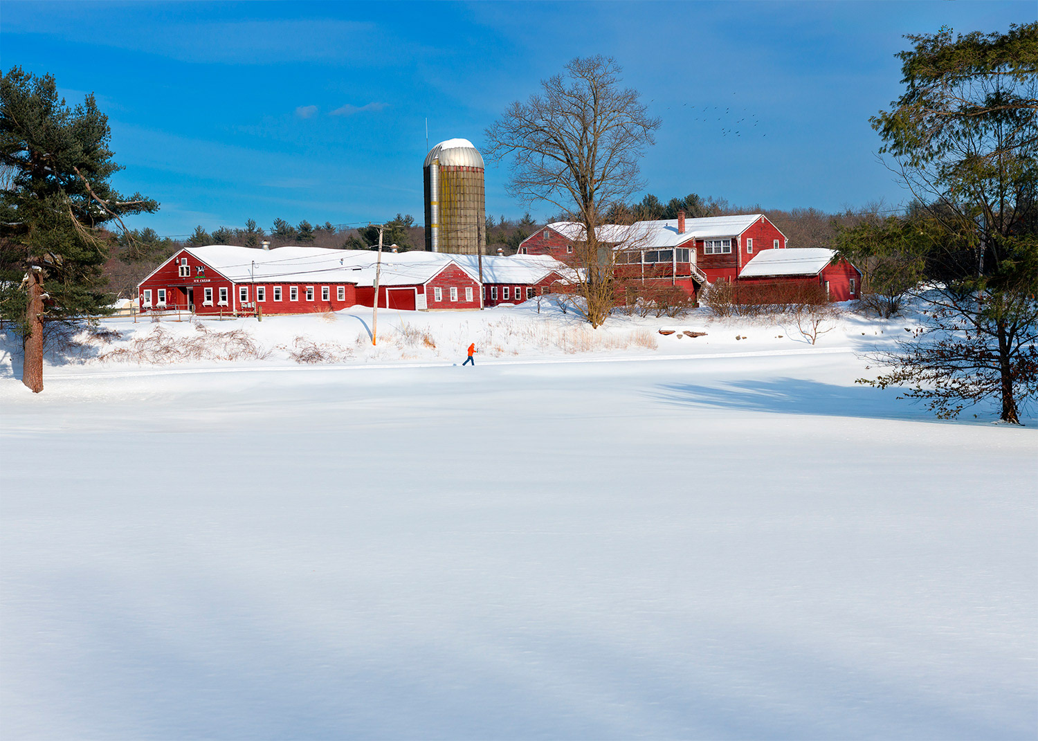 Week 5 - Great Brook Farm