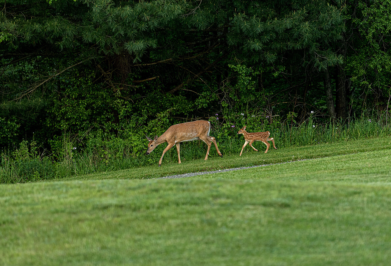 Cabin Visitor and Baby