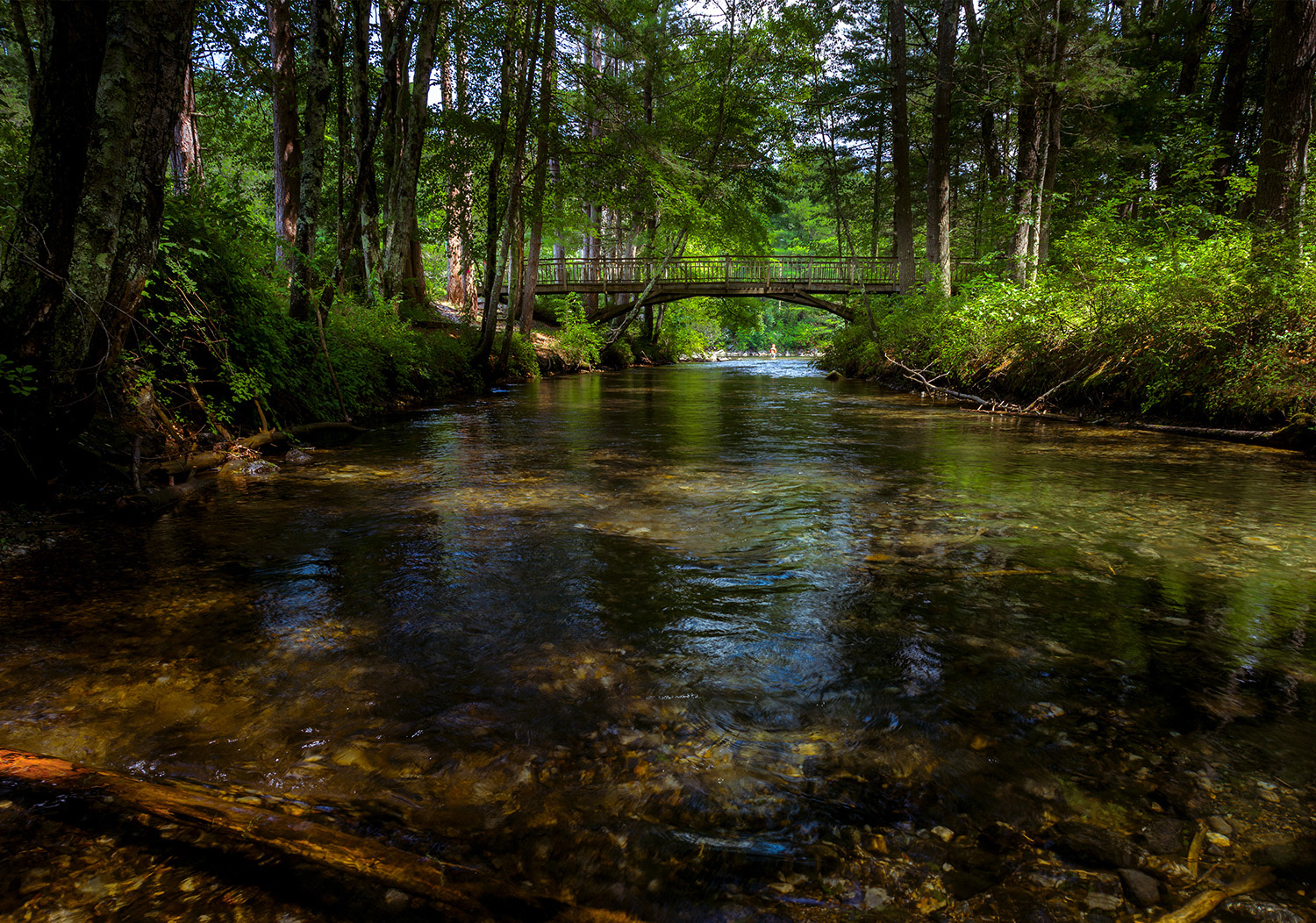 Week 33 - Swift River