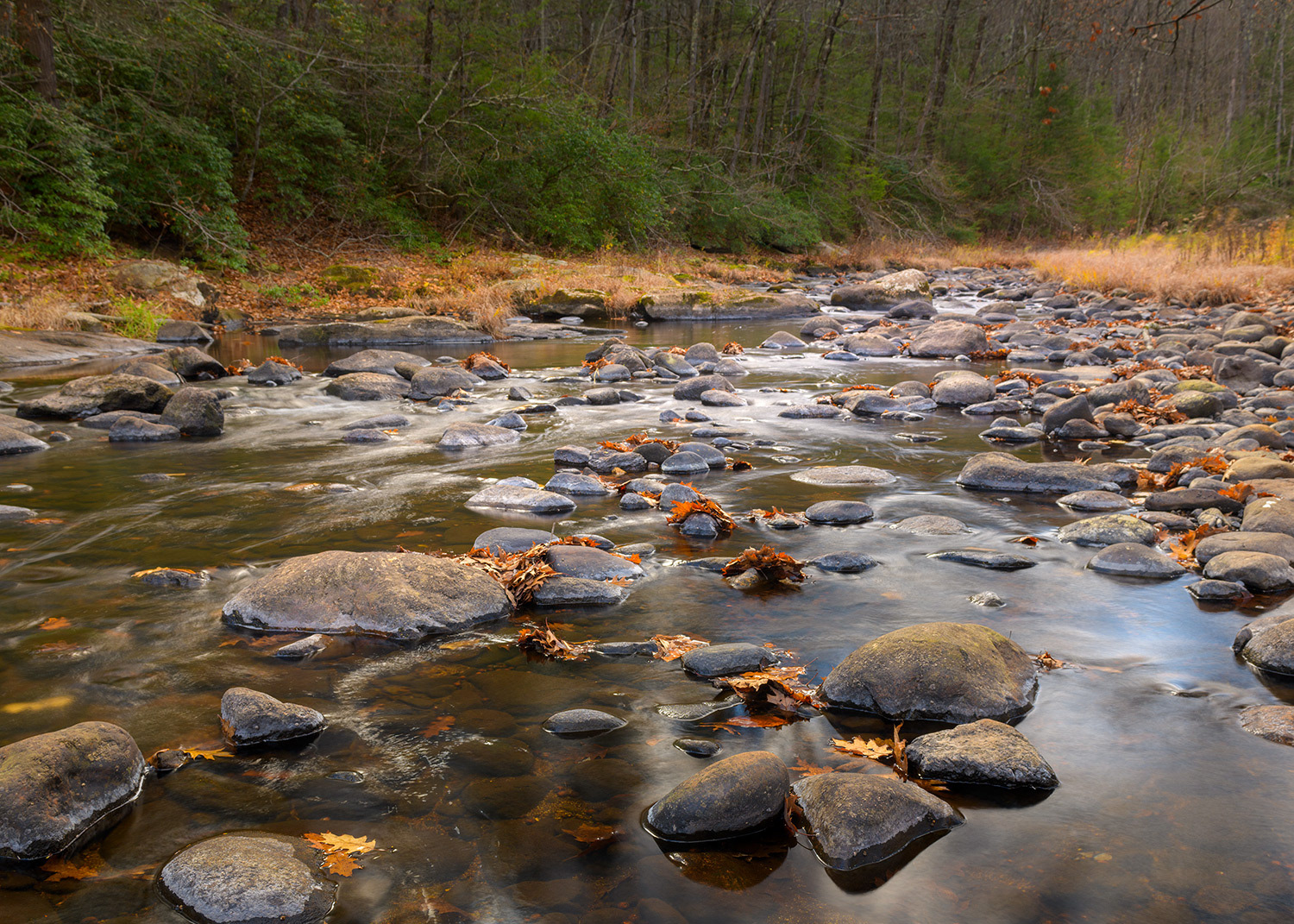 Week 45 - Souhegan River