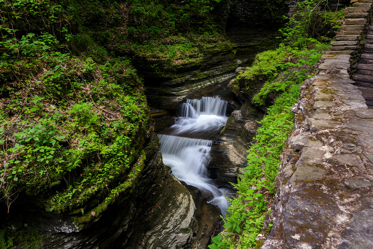 Gorge Trail
