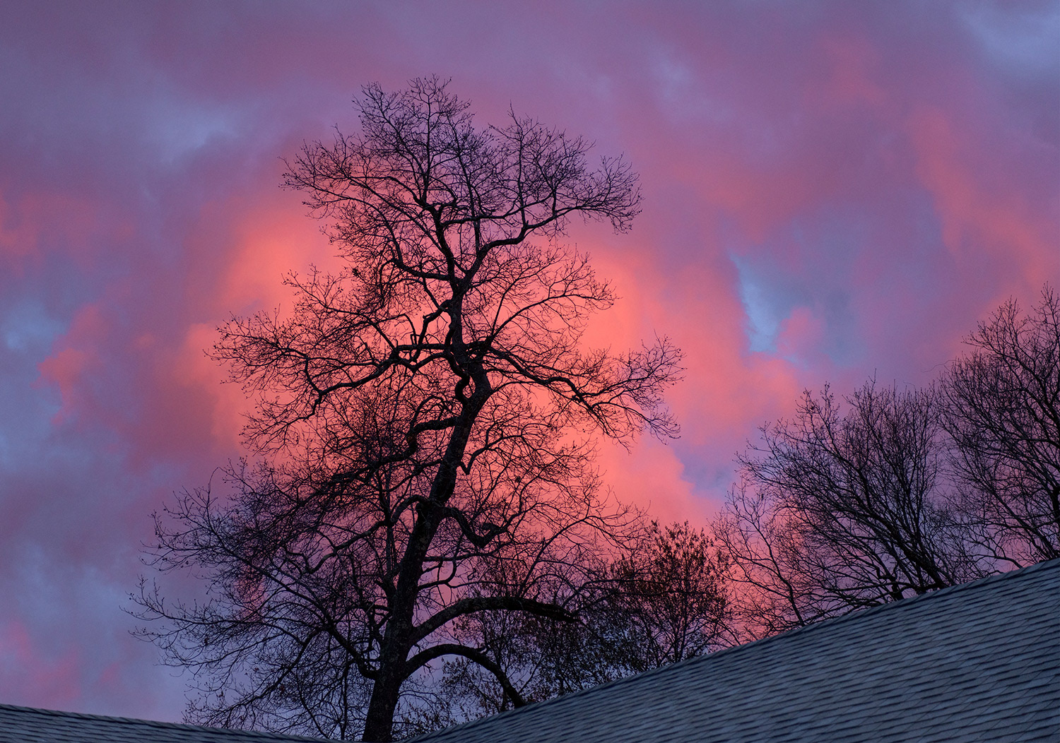 Week 18 - Oakridge Circle Sunset