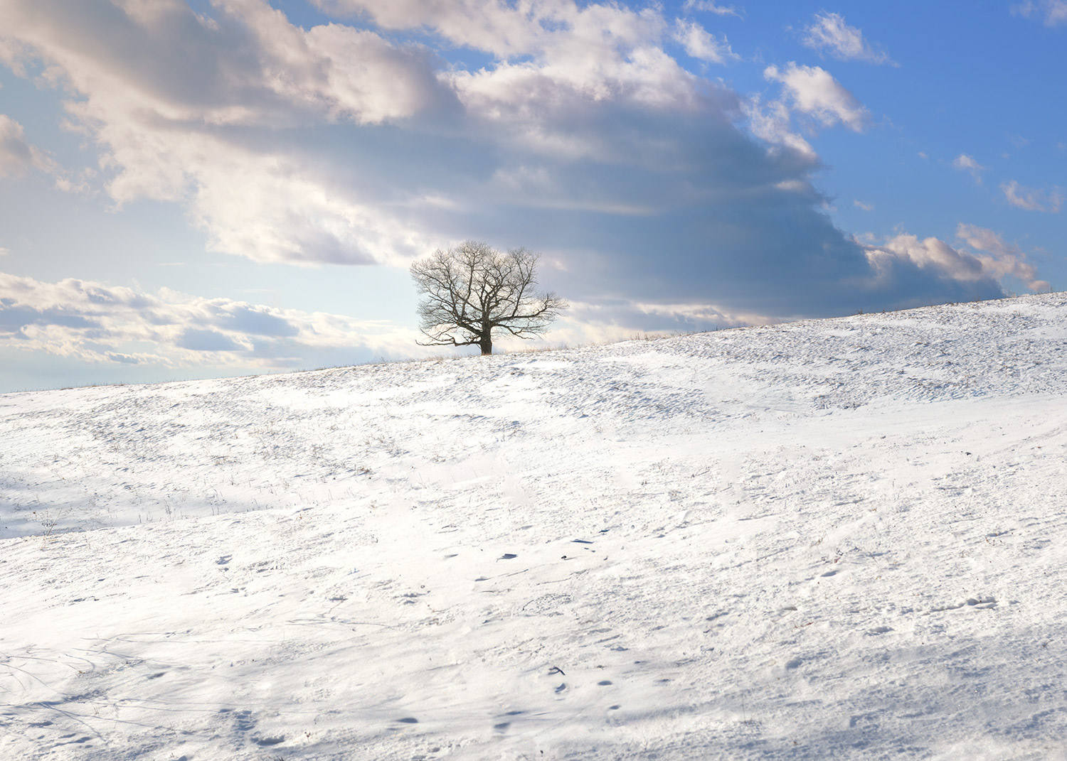 Week 1 - Gibbet Hill Groton