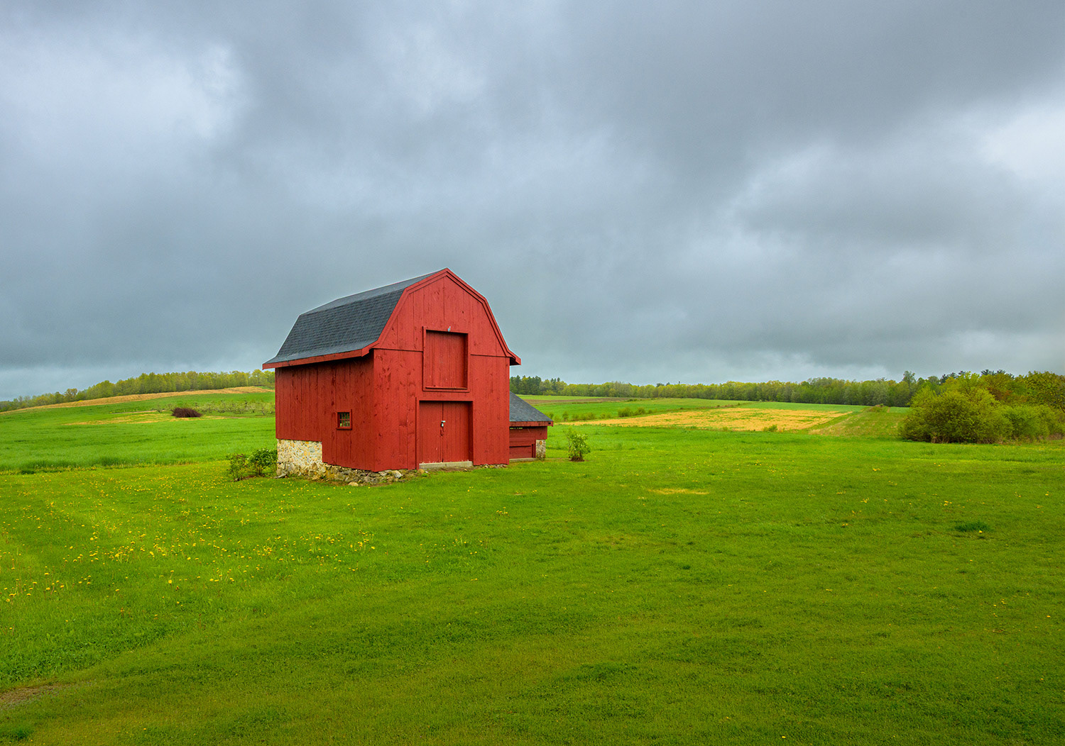 Week 20 - Woodmont Orchard