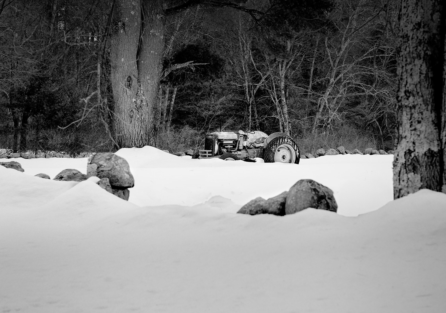Week 8 - Tractor in a Field