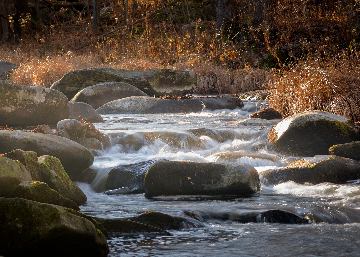 Week 48 - Willard Brook