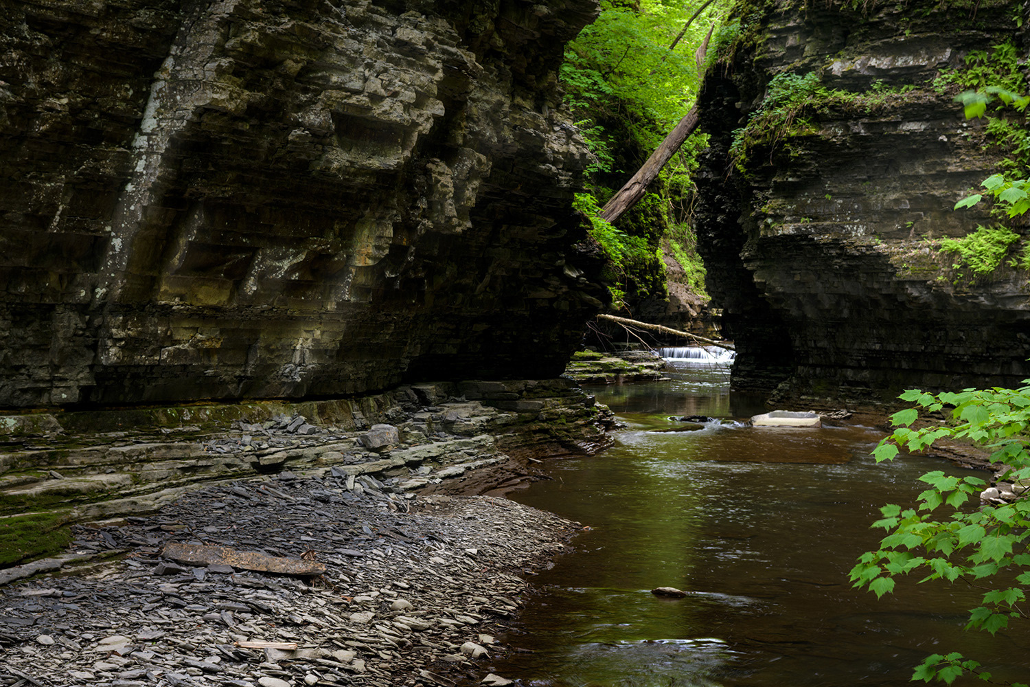 Gorge Trail