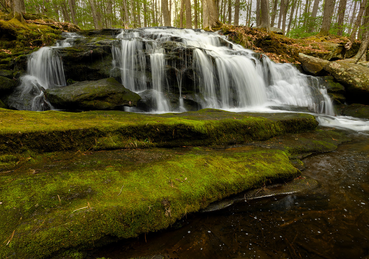 Week 16 - Tucker Brook Falls