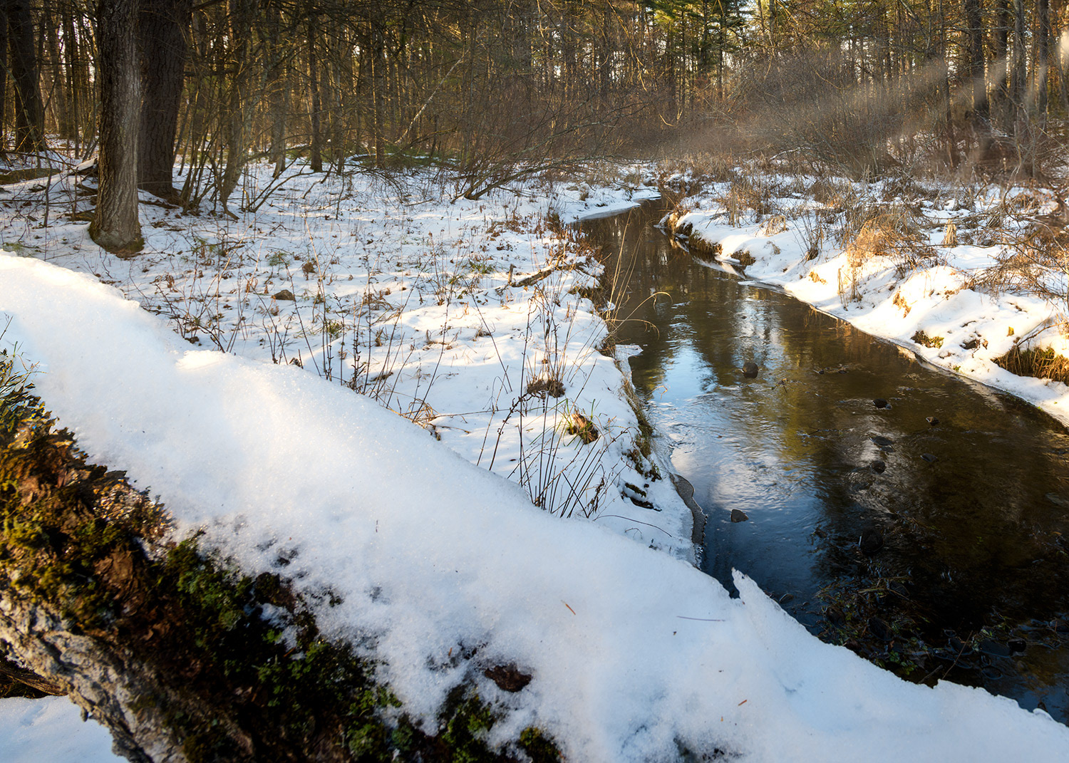 Week 51 - Deep Brook