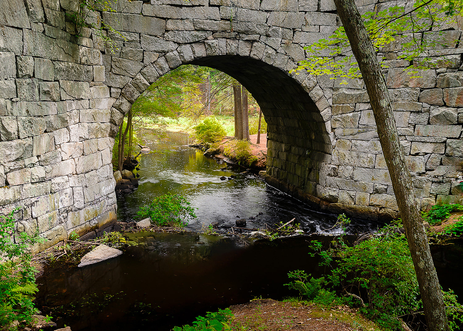Week 27 - Stone Arch Bridge